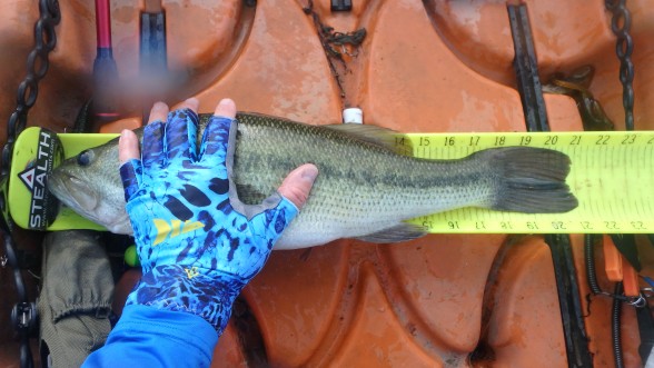 Photo of Bass Caught by Donald with Mister Twister 5