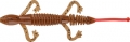 5" Ringed Lizard (50 pack) Thumbnail