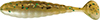 3" Baitfish Sassy Grub Thumbnail