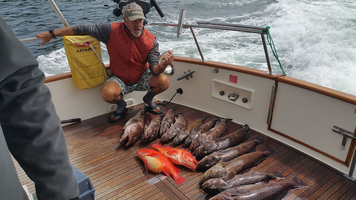 Catnip for Lingcod - Fishing Advice from Mister Twister
