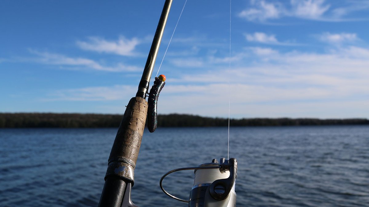 How To Fish The Ned Rig Omnia Fishing, 47% OFF